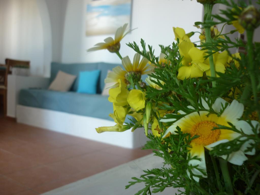 Villa Aelia Santorini Vóthon Pokój zdjęcie